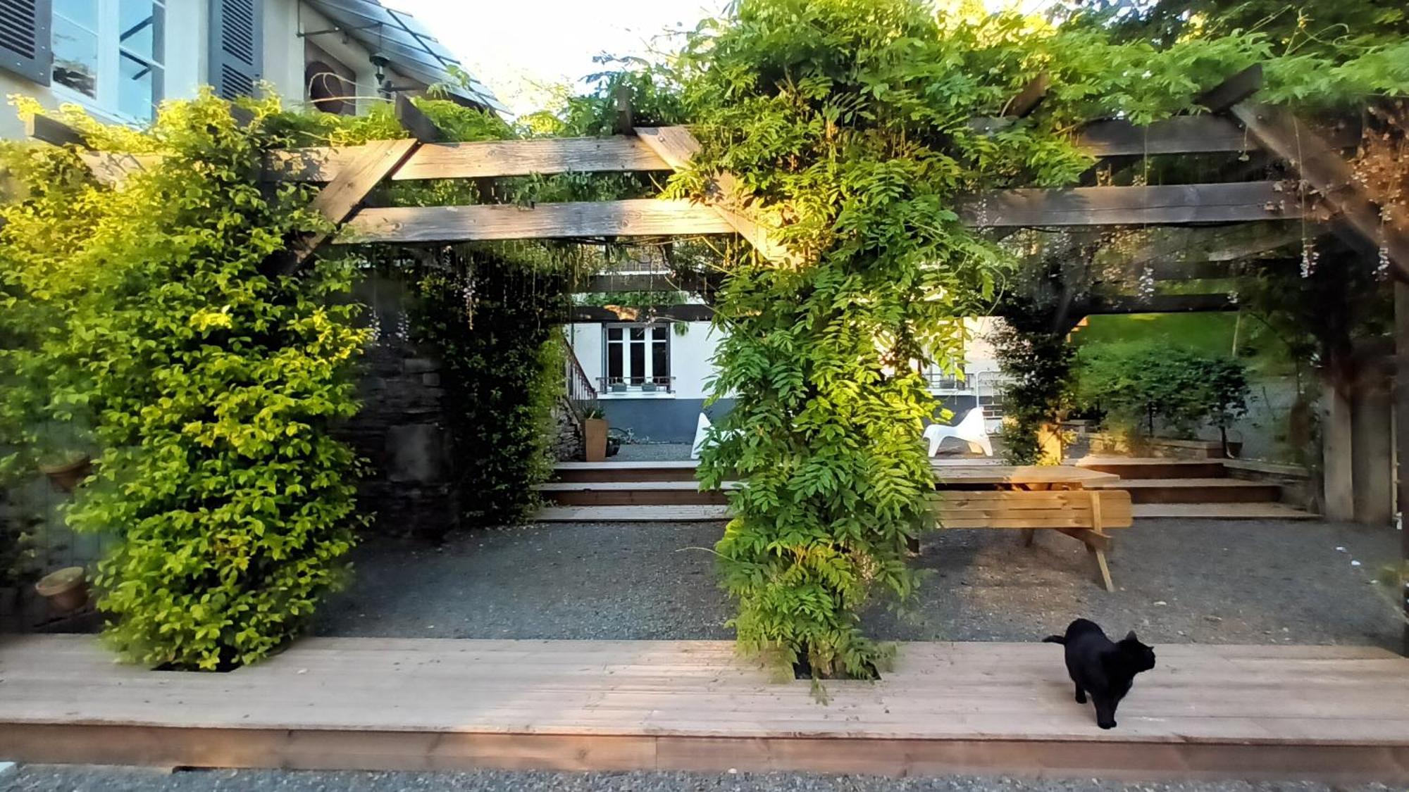 Domaine Le Mayne Chabrignac Exterior photo
